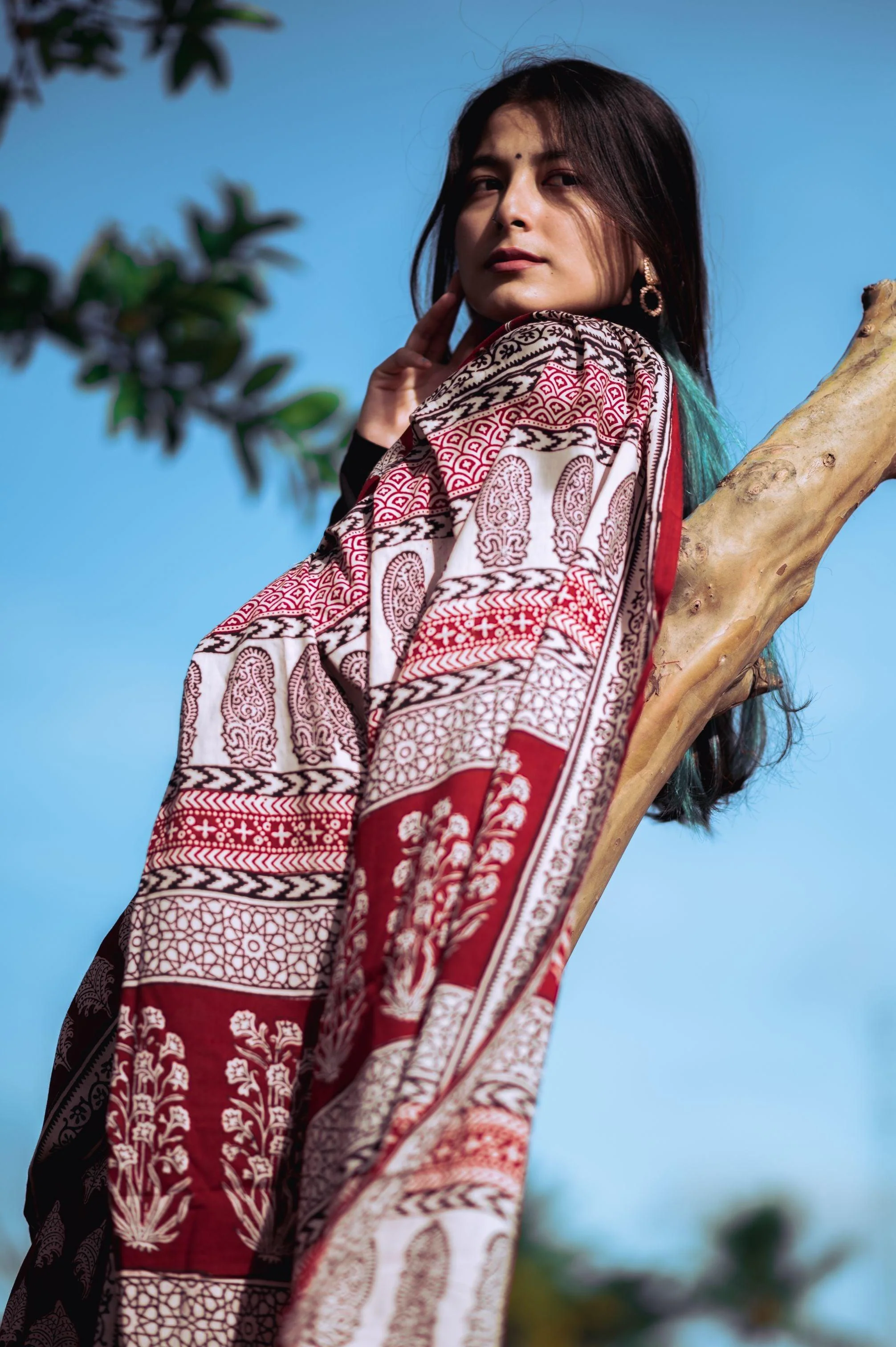 Natural dyed Bagh print sarees - Chitara - Bagh - Image 10