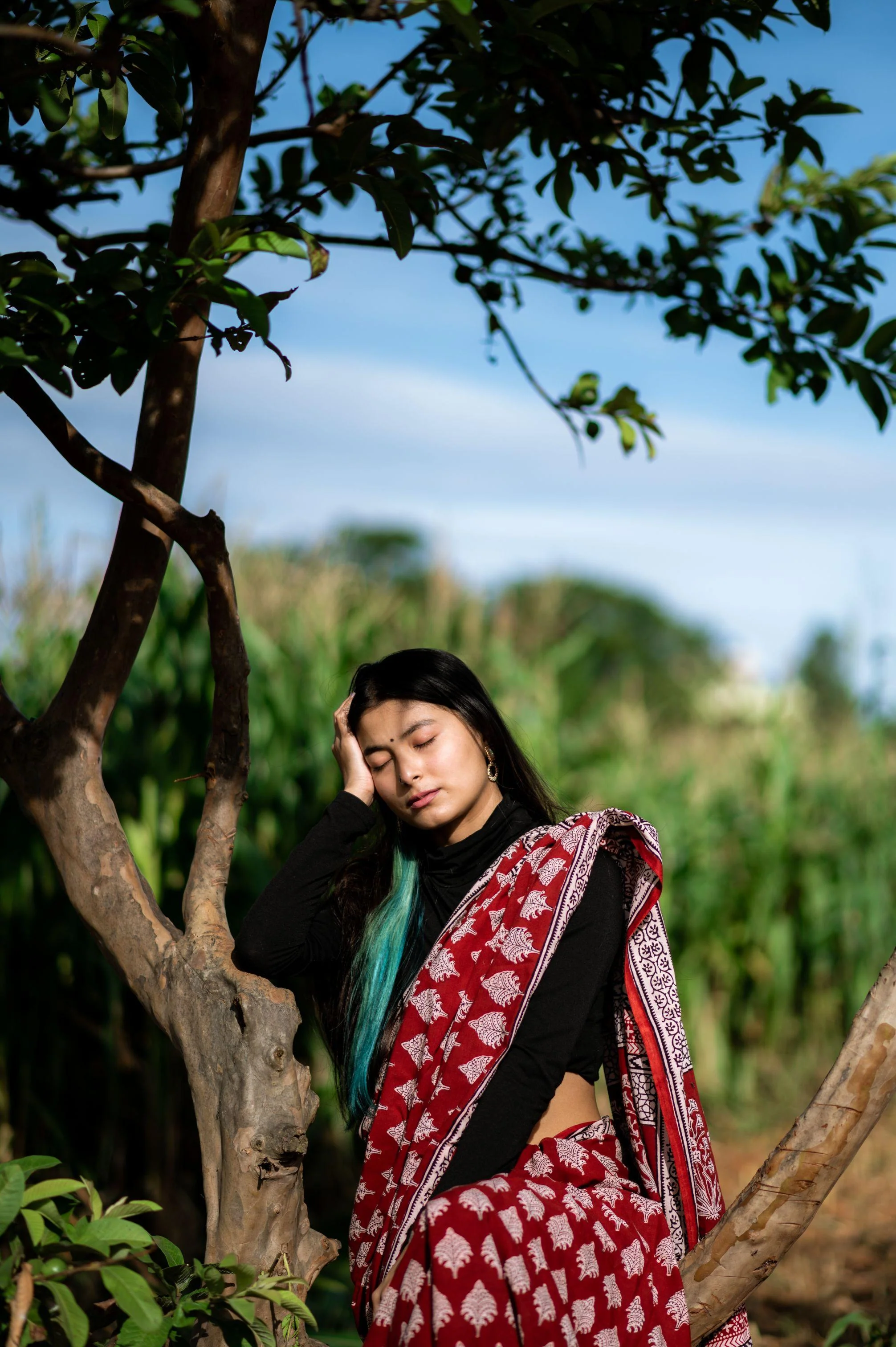 Natural dyed Bagh print sarees - Chitara - Bagh - Image 15