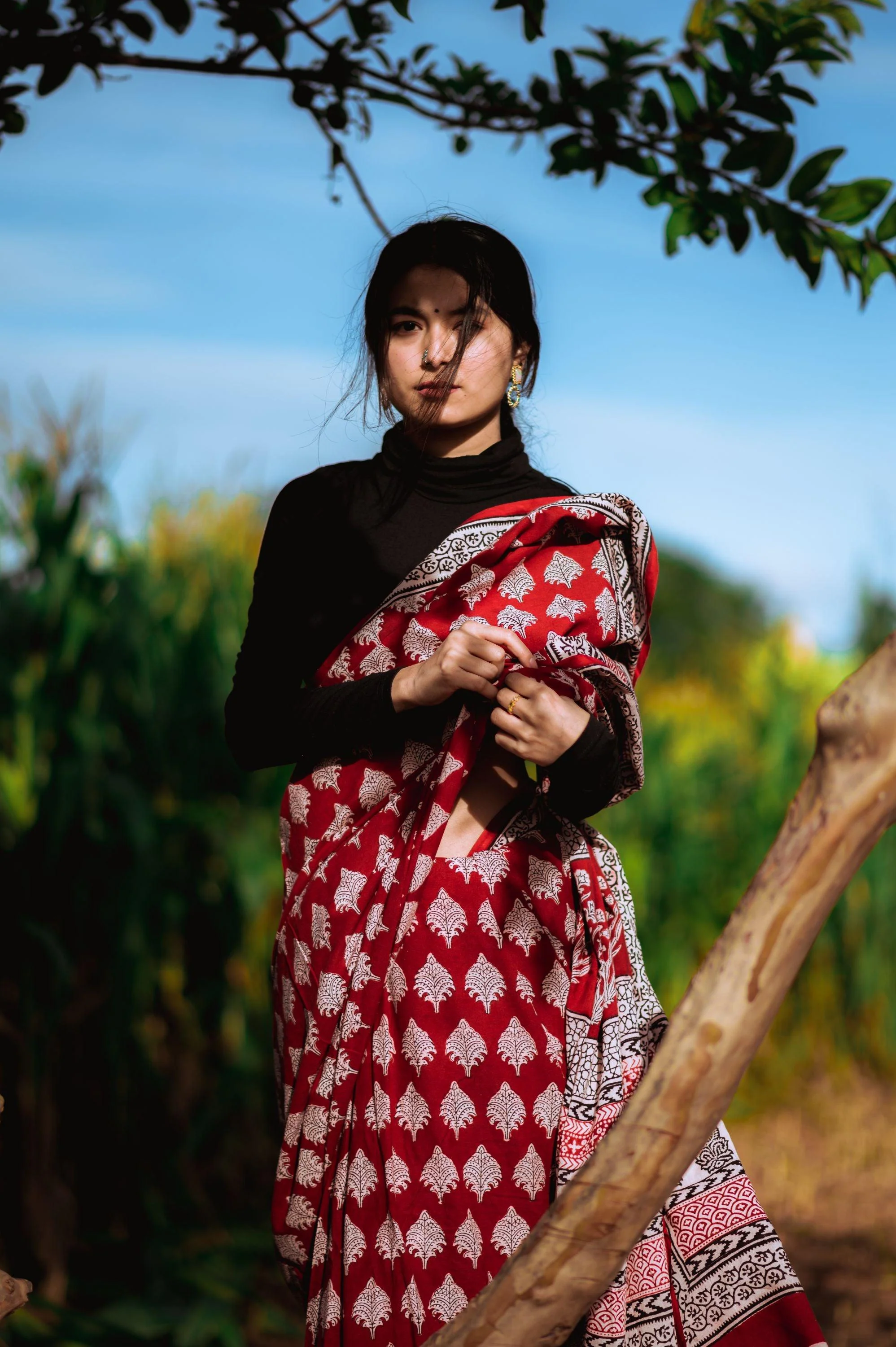 Natural dyed Bagh print sarees - Chitara - Bagh - Image 3