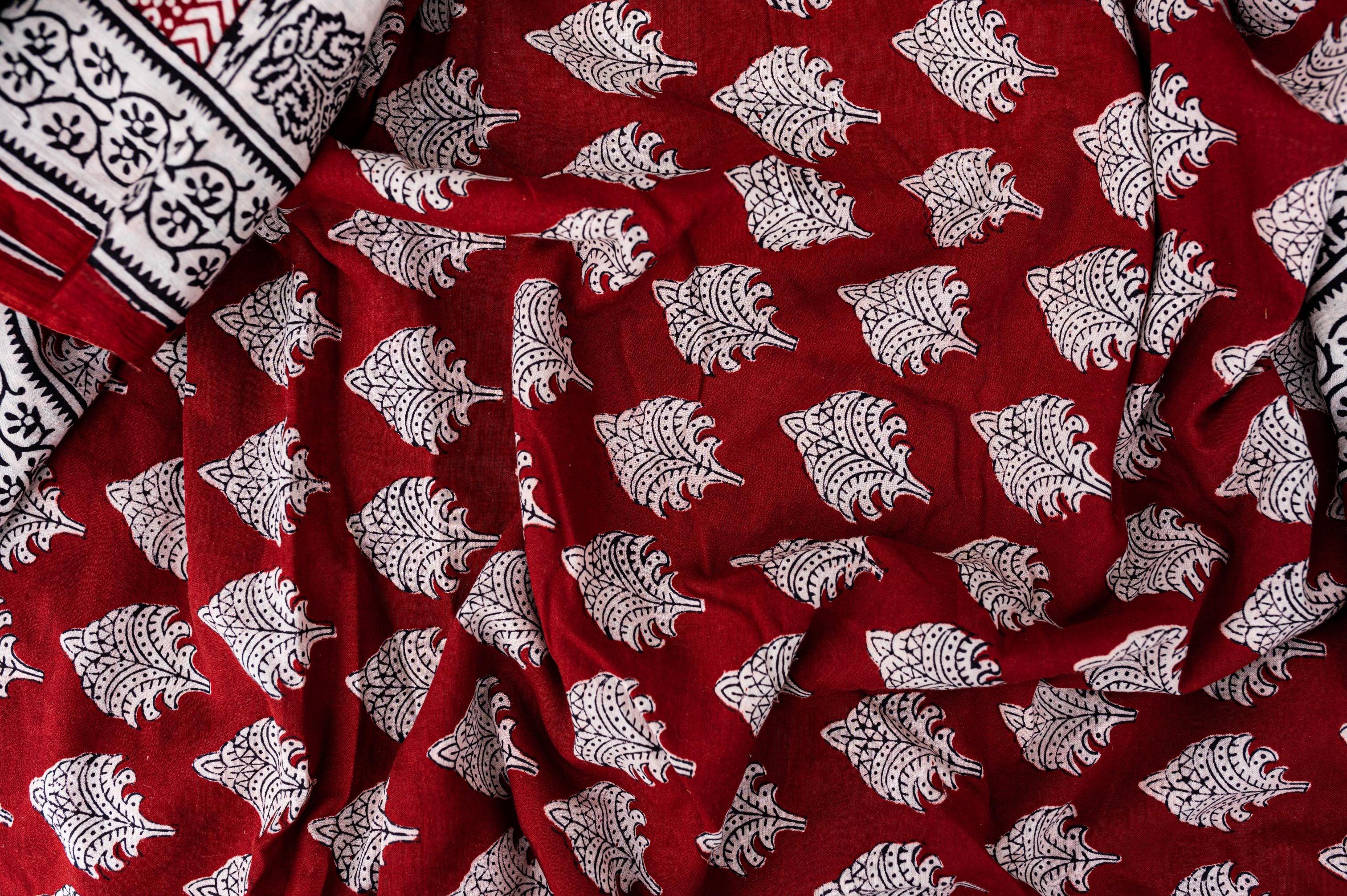 Natural dyed Bagh print sarees - Chitara - Bagh - Image 4