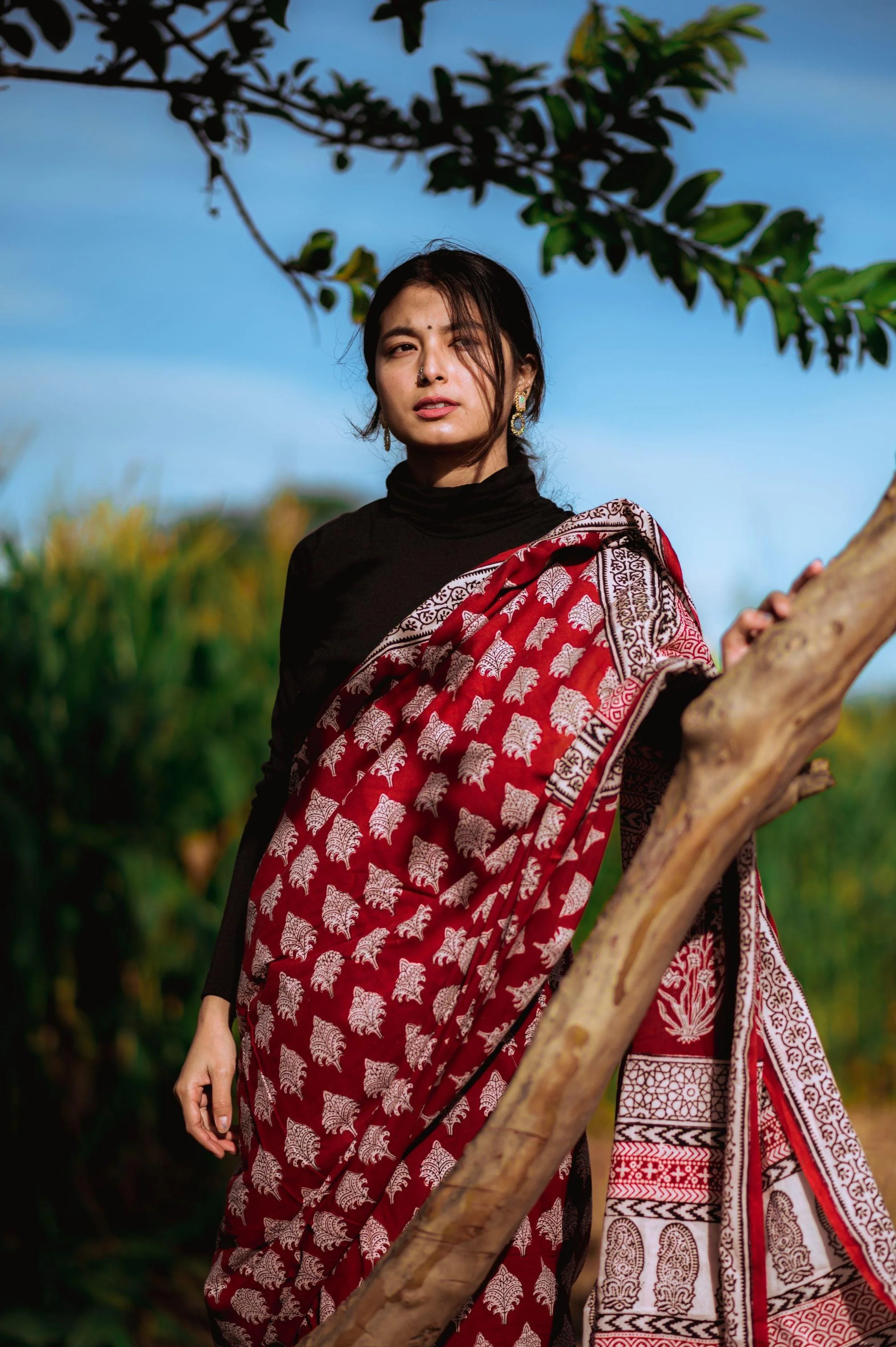 Natural dyed Bagh print sarees - Chitara - Bagh - Image 6