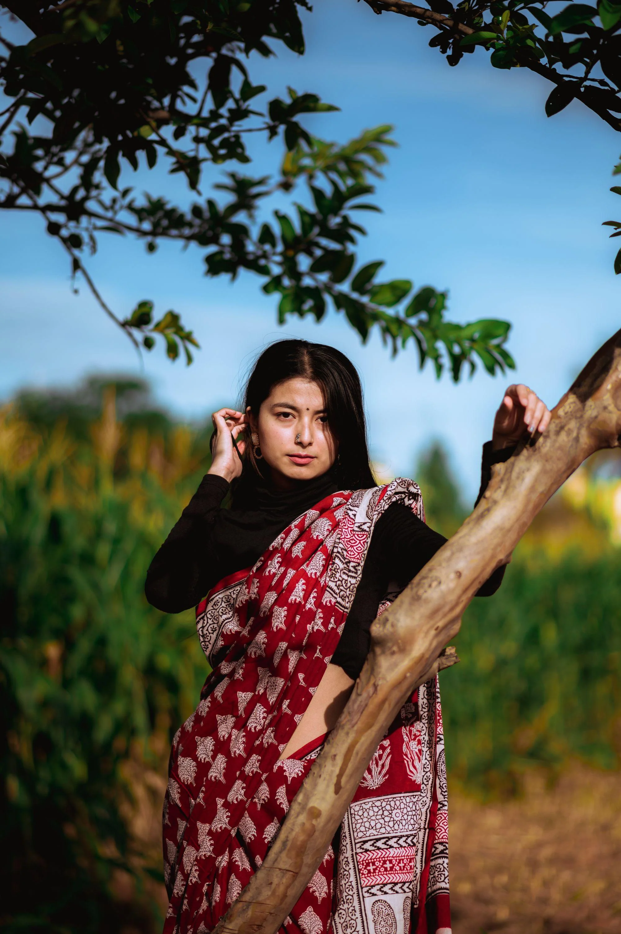 Natural dyed Bagh print sarees - Chitara - Bagh - Image 8