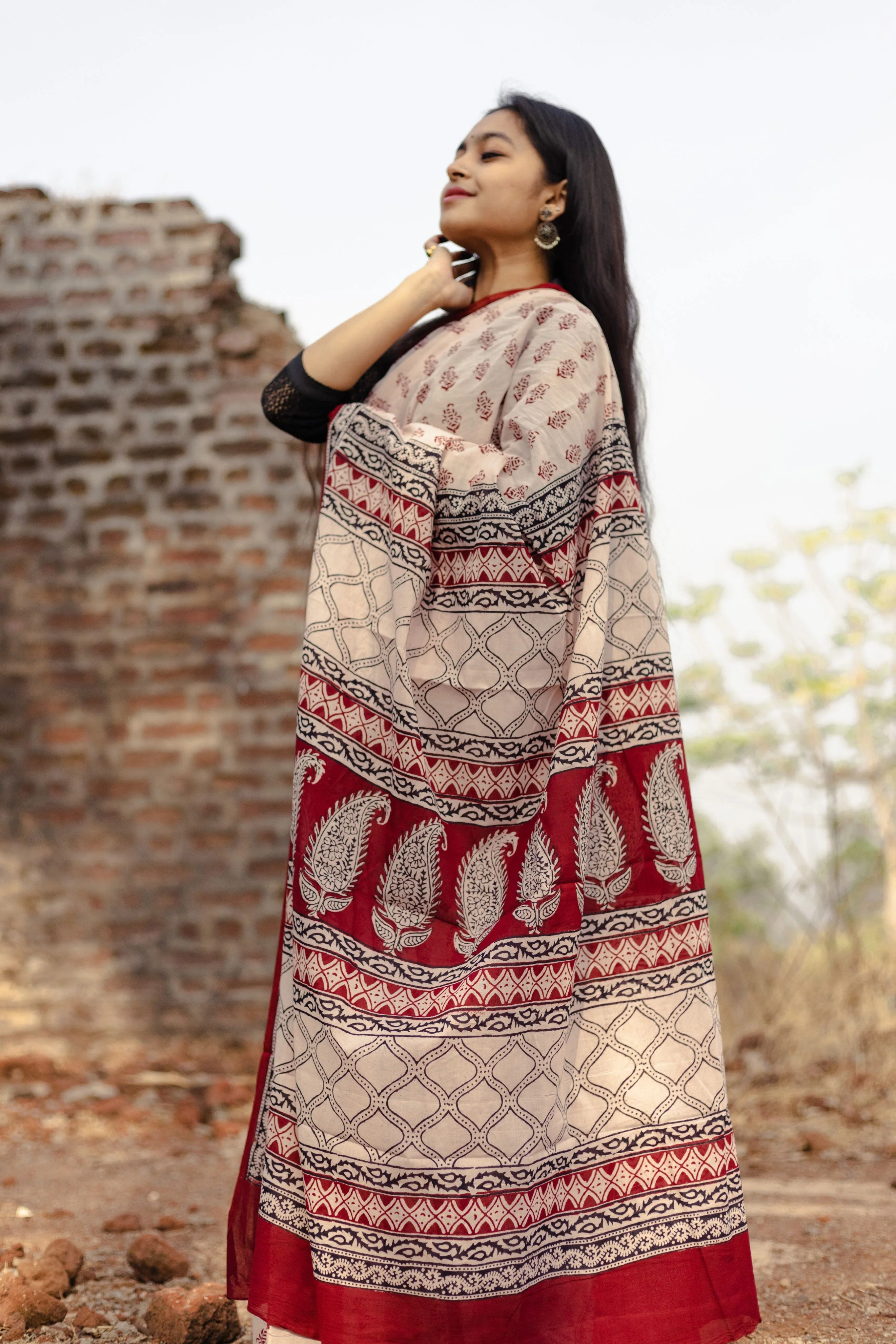 Natural dyed Bagh print sarees - Chitara - Morni - Image 13