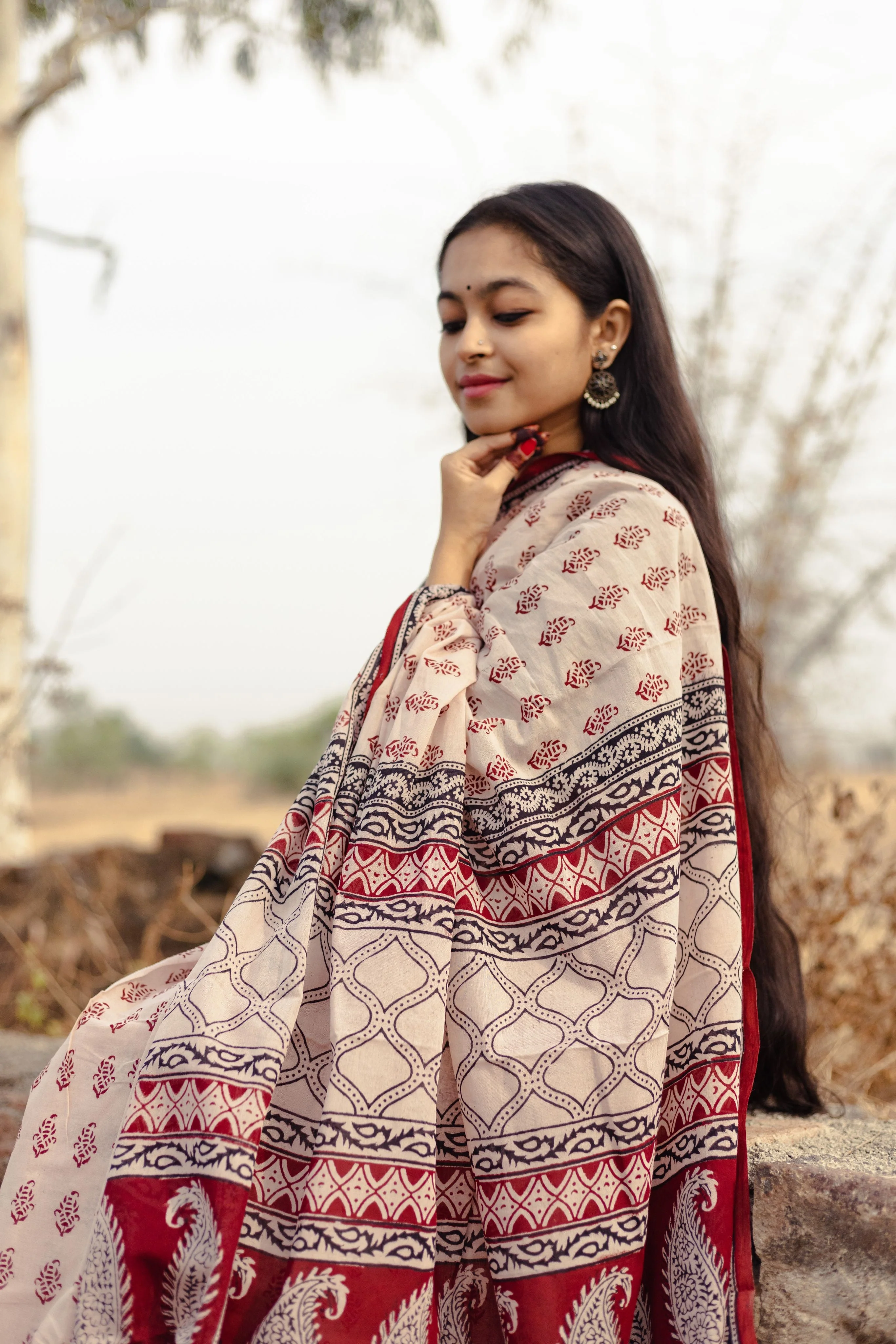 Natural dyed Bagh print sarees - Chitara - Morni - Image 9