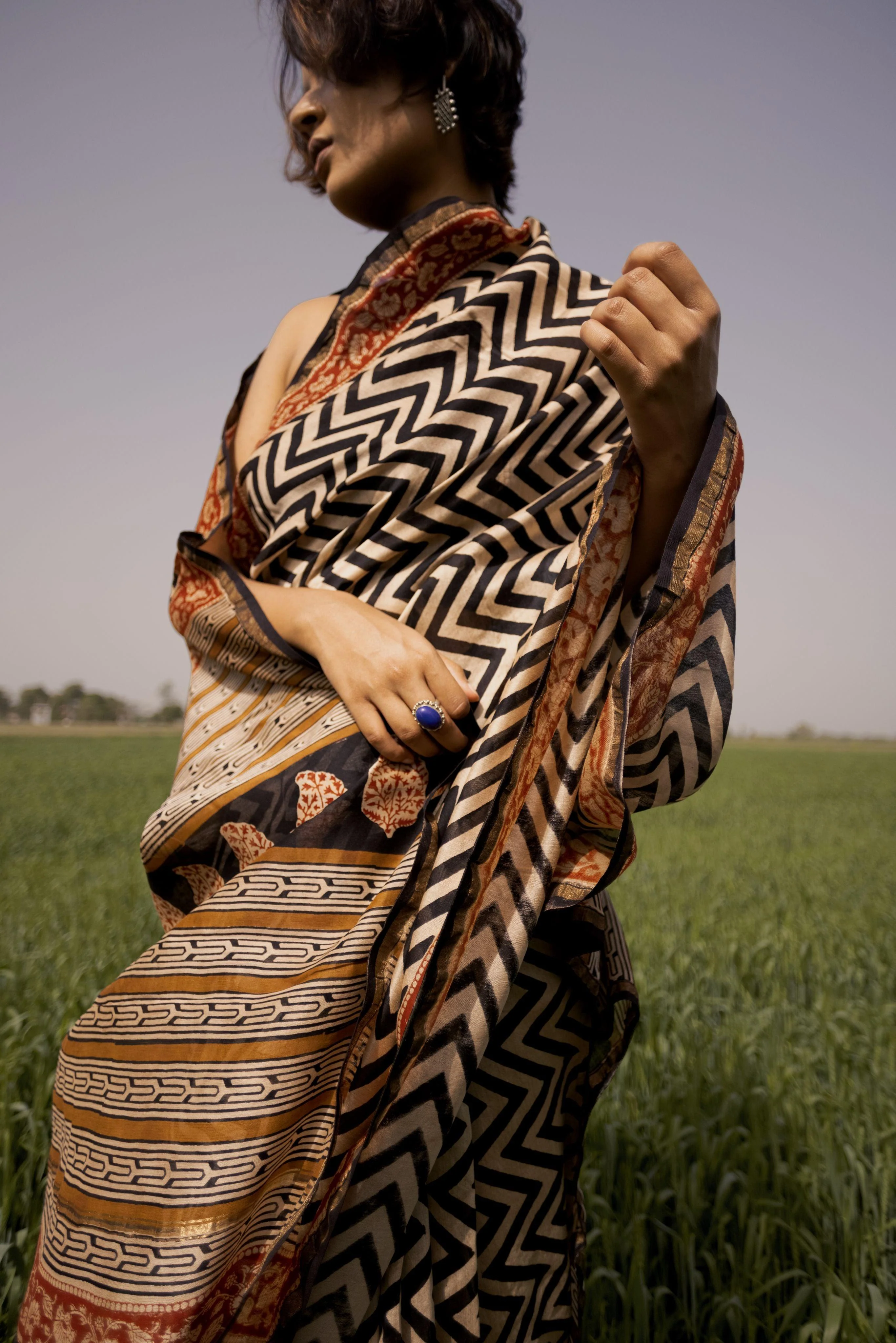 Natural dyed Bagru saree - Roheda- Chevron Syahi Begar - Image 8