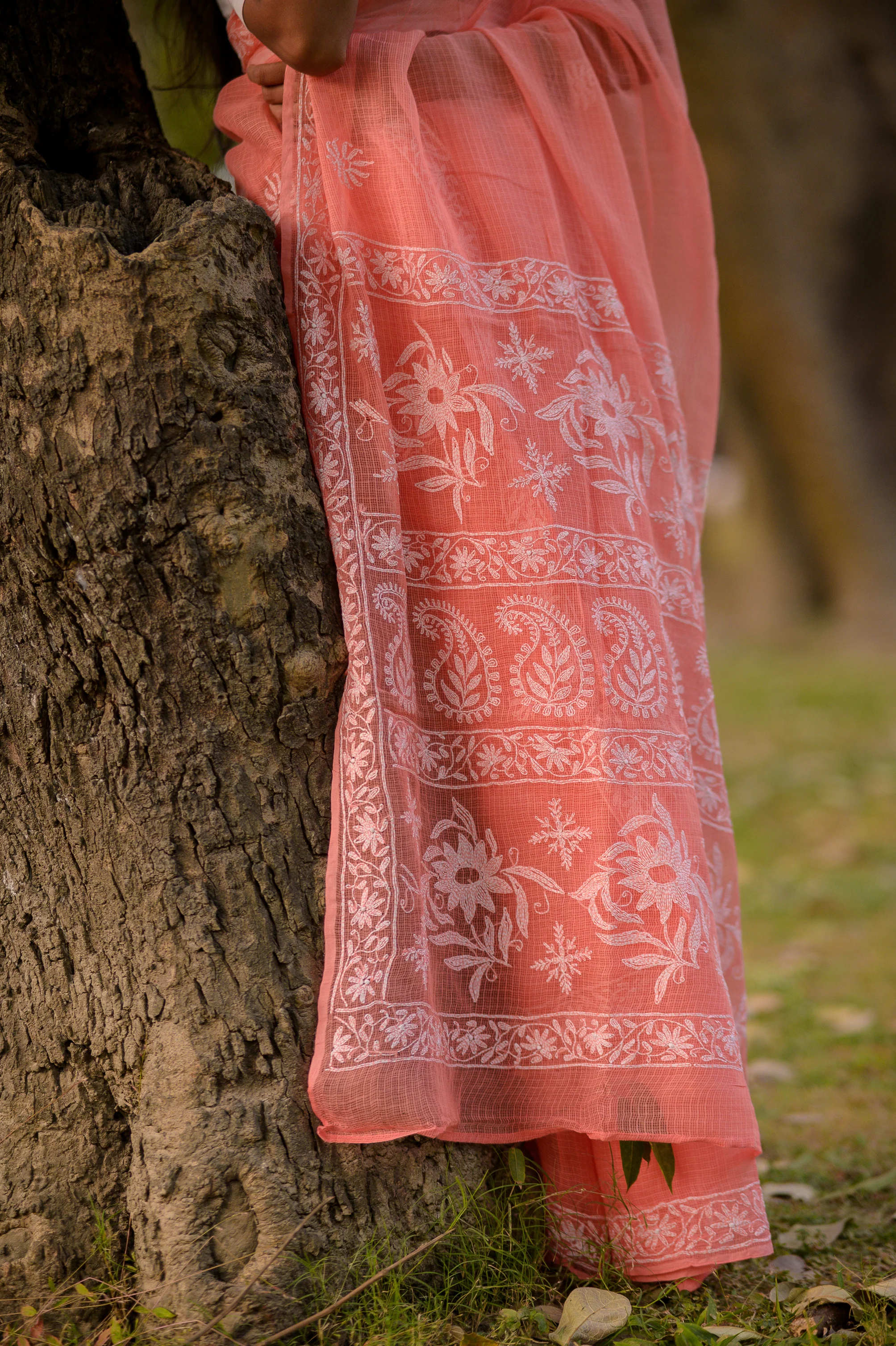 Kota Chikankari sarees - Meher - Anar - Image 3