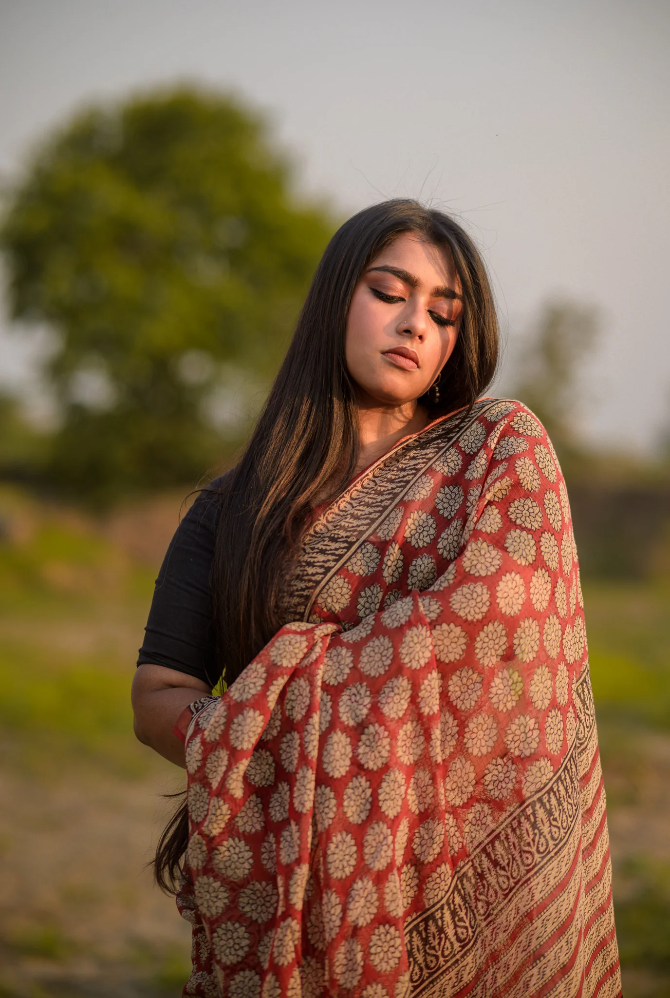 Natural dyed Bagru saree - Roheda Kota Chand handblock printed saree - Image 4