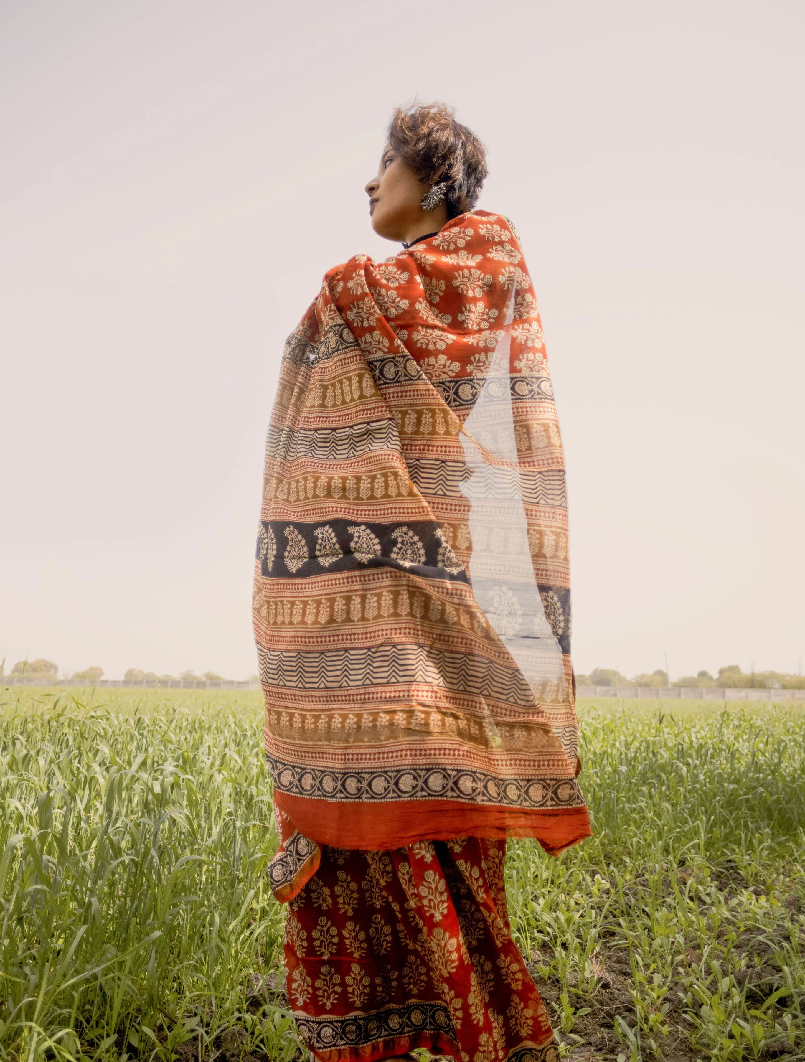 Natural dyed Bagru saree - Roheda- Mughal Syahi Begar - Image 11